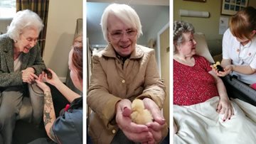 Feathery friends join Residents at Holmfirth care home